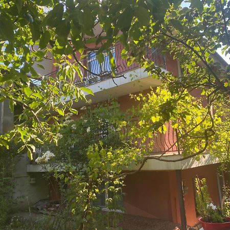Ardelean Apartment Орадя Екстер'єр фото